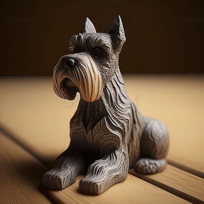 Zwergschnauzer dog